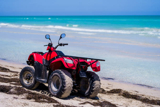 Activités Djerba